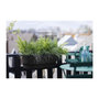 Voir la diapositive 2 : ELHO ELHO - Pot de fleurs  -  Greenville Easy Balcony 52 - Living Noir - Balcon - L 21.2 x W 52 x H 19.4 cm