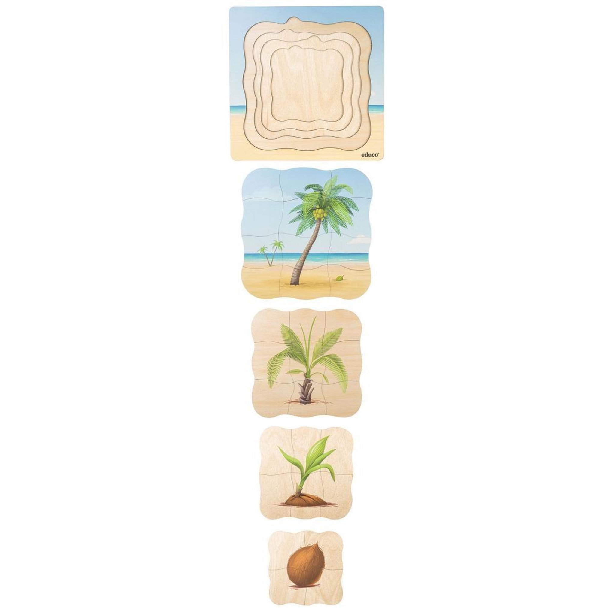 Voir la diapositive 2 : EDUCO Sur la plage - le cocotier pousse — 31 pièces de puzzle