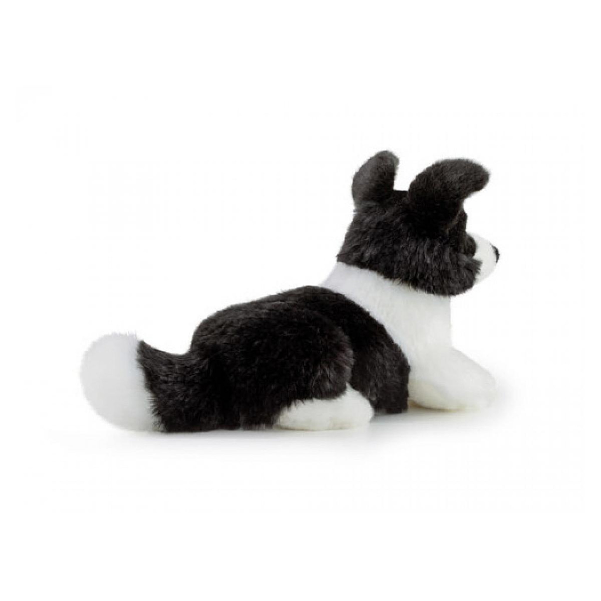 Voir la diapositive 3 : Trudi peluche chien Scott le border Collie