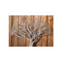 Voir la diapositive 2 : Paris Prix Papier Peint  Knot of Life