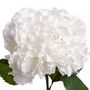 Voir la diapositive 2 : ATMOSPHERA Tige artificielle d'Hortensia - H. 83 cm - Blanc