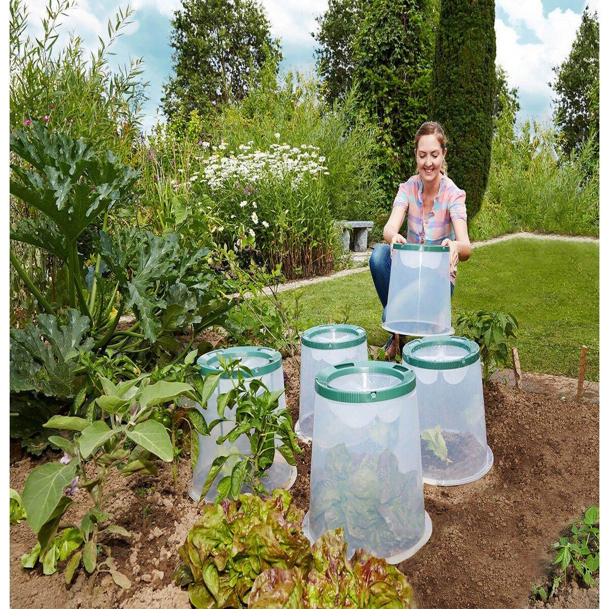 Habitat et Jardin Kit de 3 cloches de culture  Sunny
