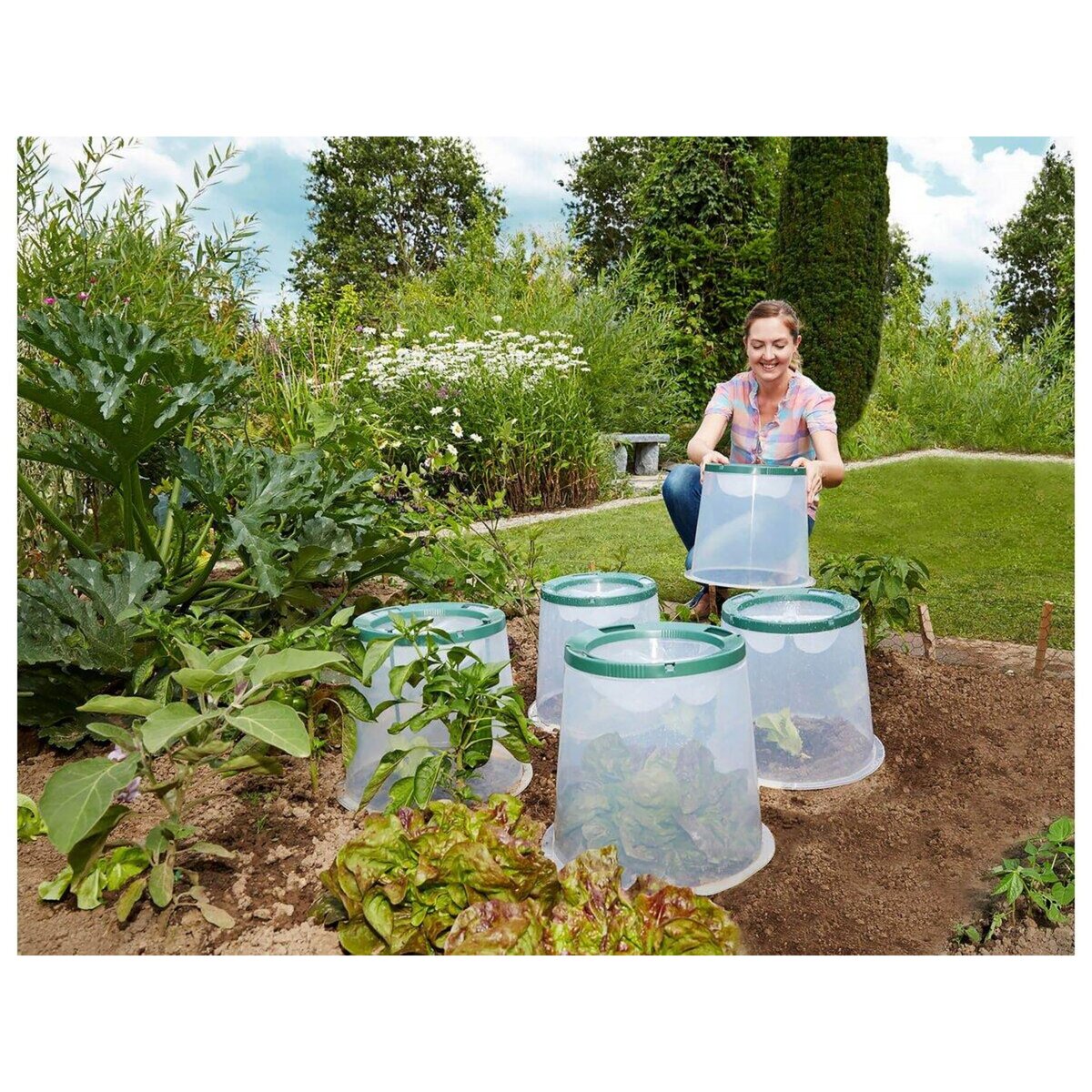 Habitat et Jardin Kit de 3 cloches de culture  Sunny