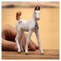 Voir la diapositive 2 : Schleich 14896 Figurine Poulain Marwari