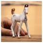 Voir la diapositive 2 : Schleich 14896 Figurine Poulain Marwari