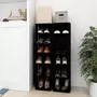 VIDAXL Armoires a chaussures 2 pcs Noir 27,5x27x102 cm