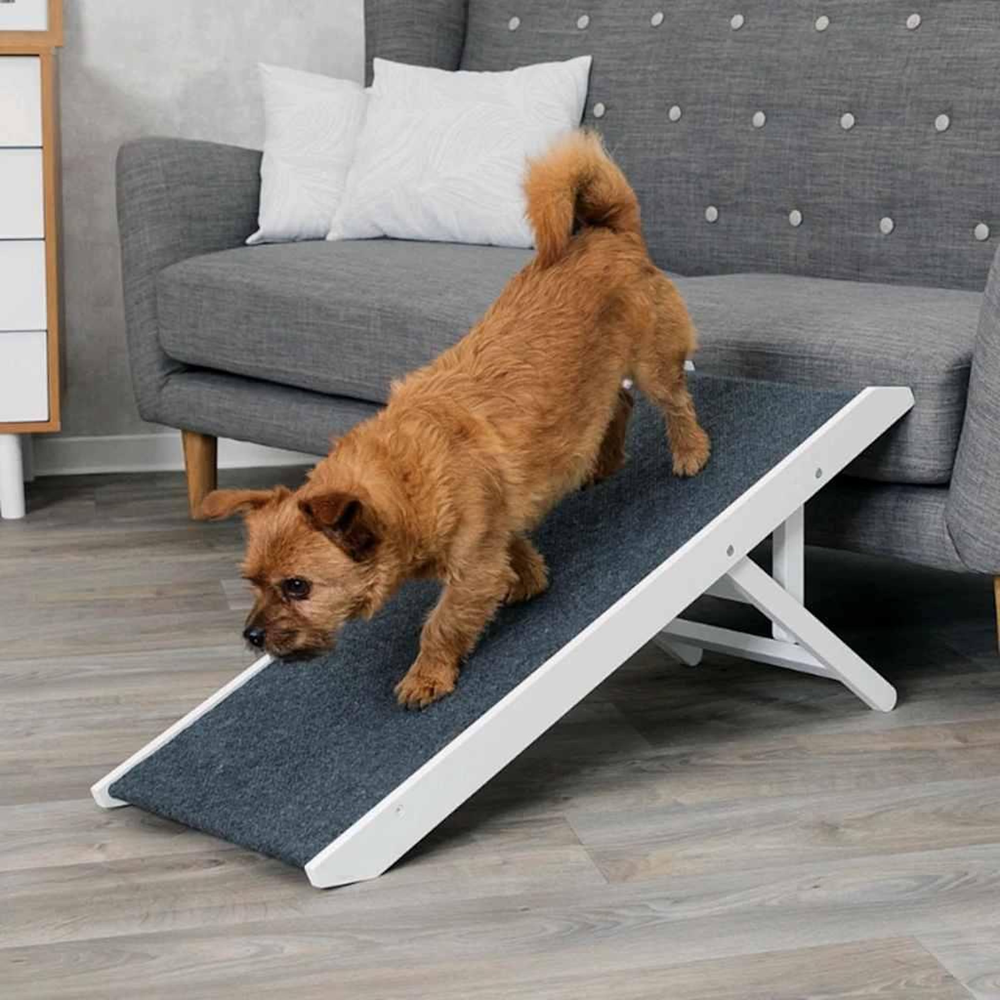 Voir la diapositive 2 : Trixie TRIXIE Rampe reglable pour animaux de compagnie 36x90 cm MDF 39375