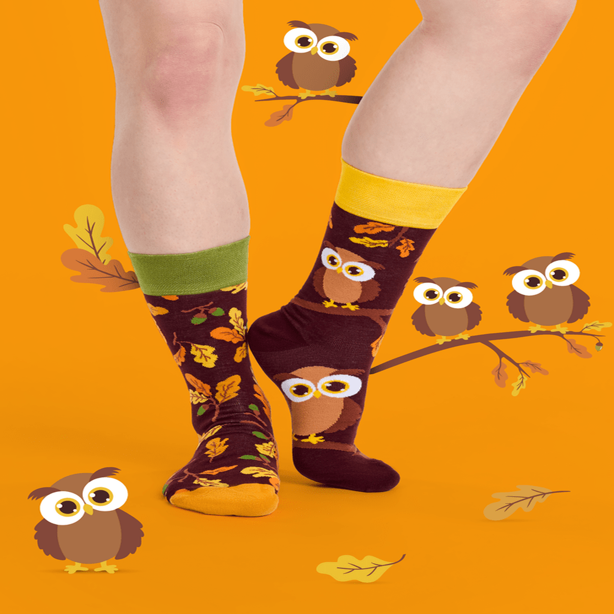 Voir la diapositive 5 : DEDOLES Chaussettes hibou curieux