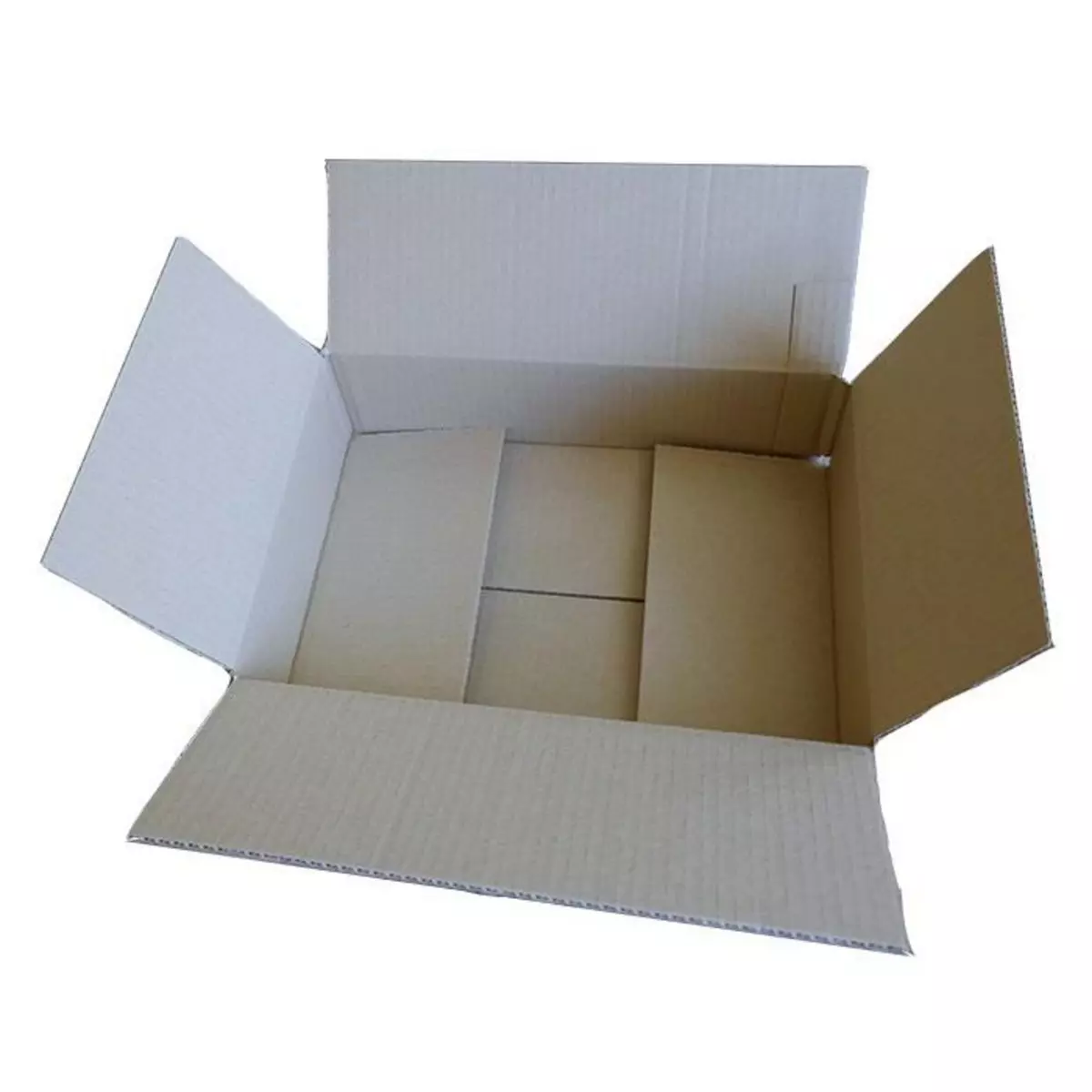RAJA 5 cartons d'emballage 31 x 21 x 7,5 cm