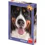 DINO Puzzle 300 pièces XL : Hairy Dog