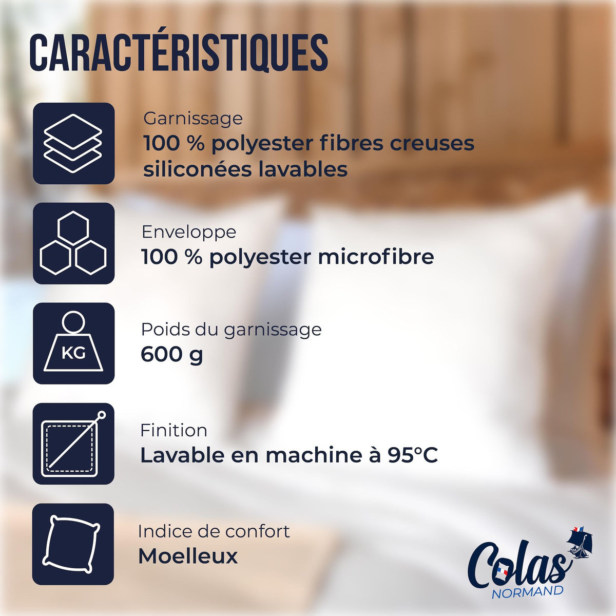 COLAS NORMAND Lot de 2 oreillers lavables à 95° 60×60 cm