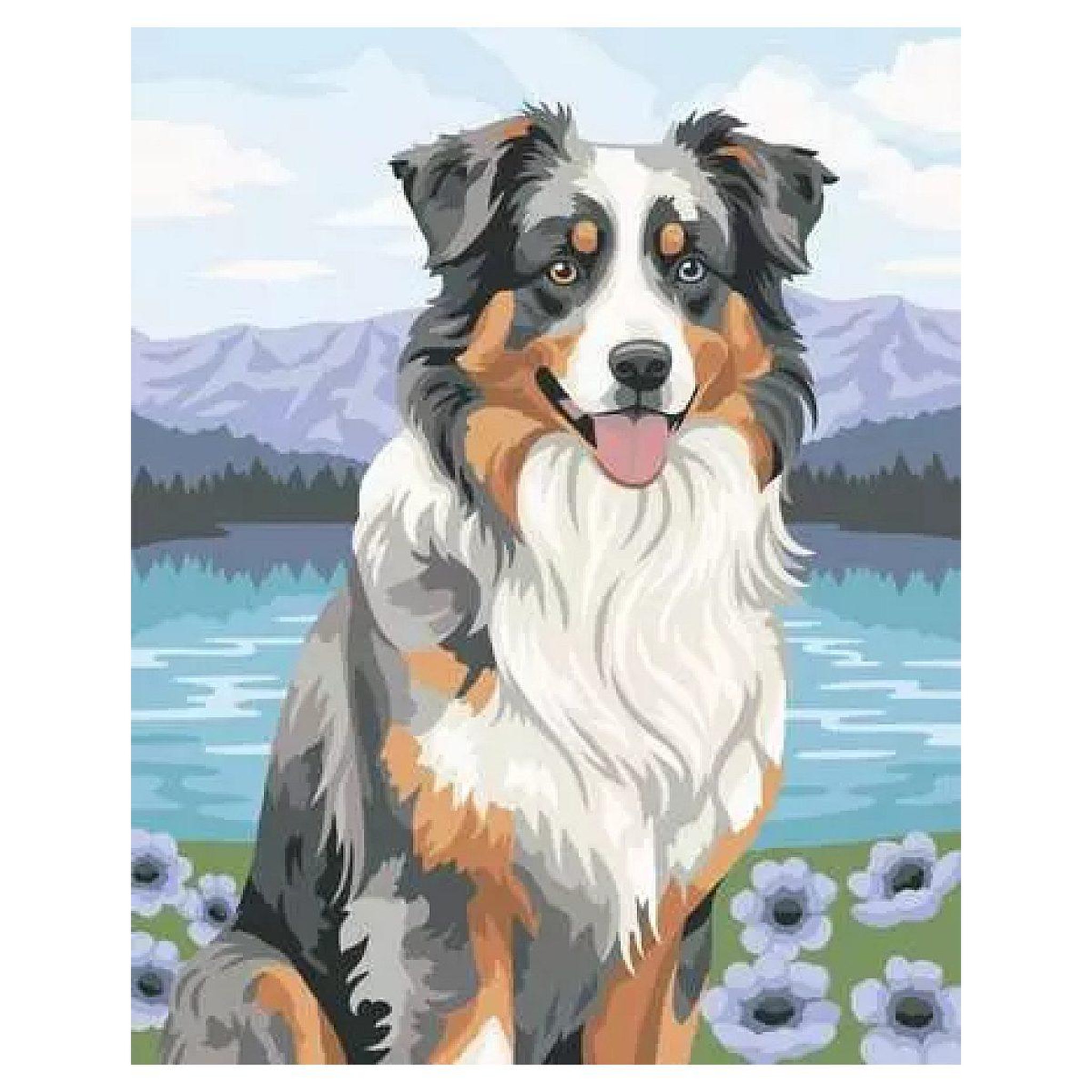 Voir la diapositive 2 : RAVENSBURGER Ravensburger – CreArt 24x30 cm – Adulte – Peinture par numéros – Berger Australien – Loisir créatif – 12023114
