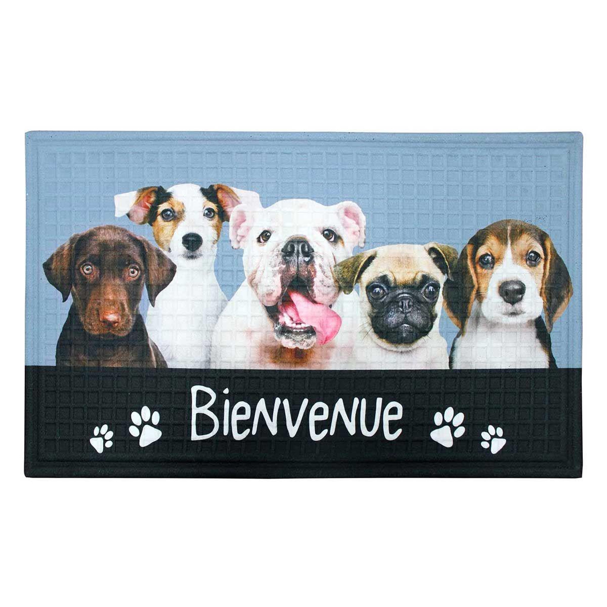Douceur d'Intérieur Tapis Relief Imprimé  Carlito  45x75cm Bleu