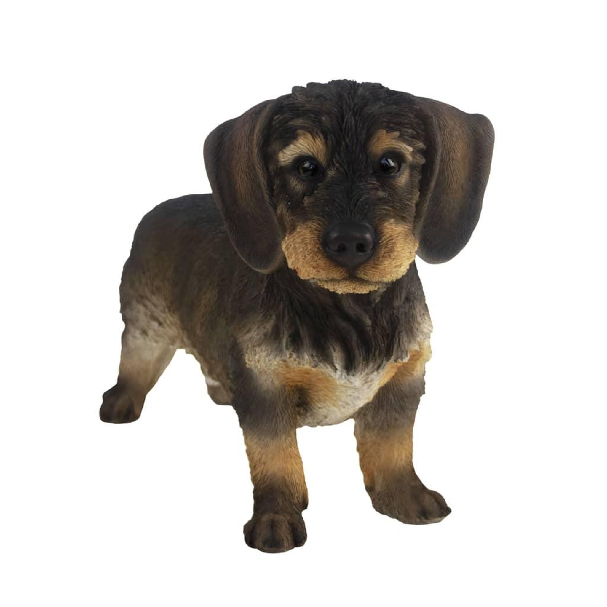 Voir la diapositive 2 : ESSCHERT DESIGN Esschert Design Statuette de Teckel 50x15x27,8 cm