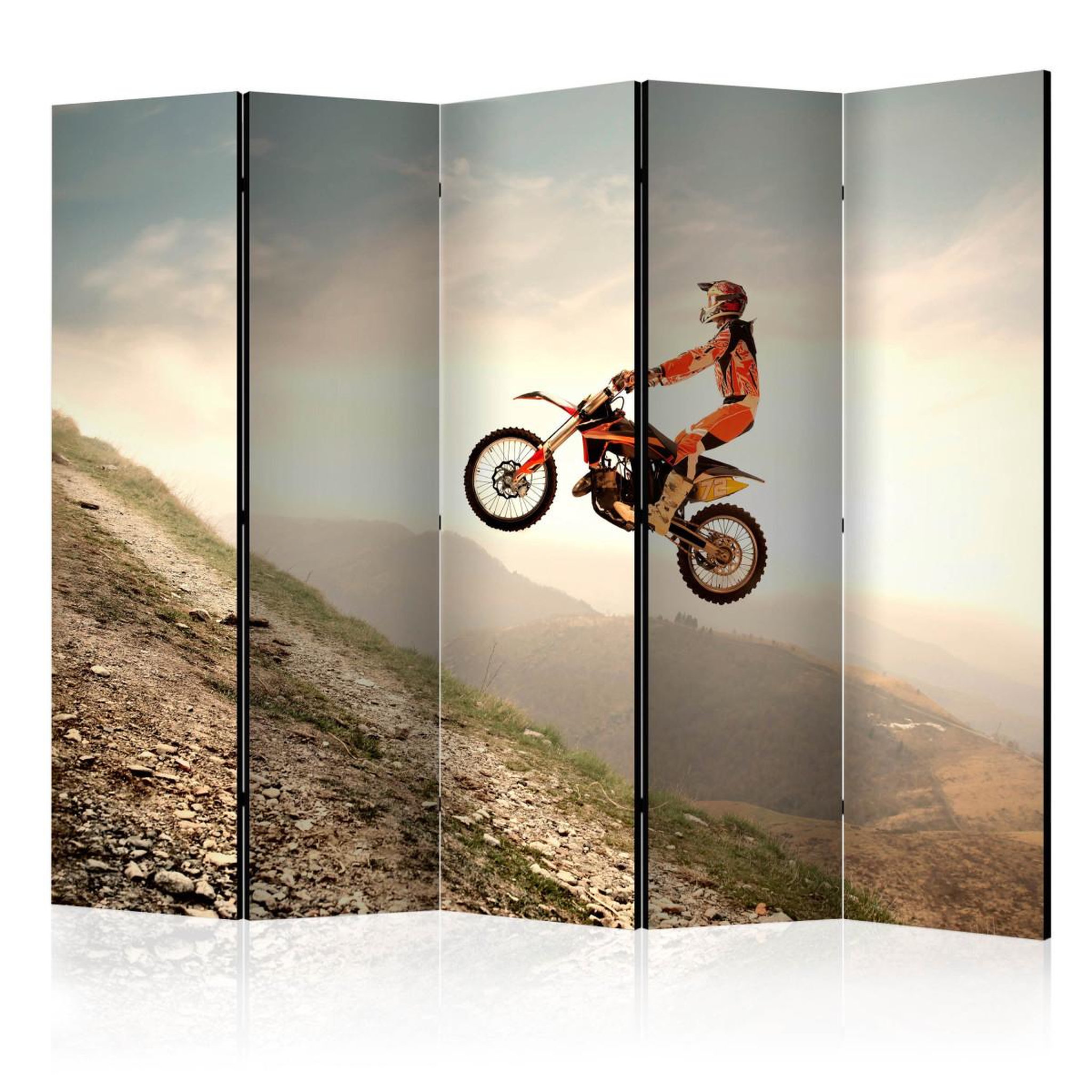 Paris Prix Paravent 5 volets  motor sport  172x225cm