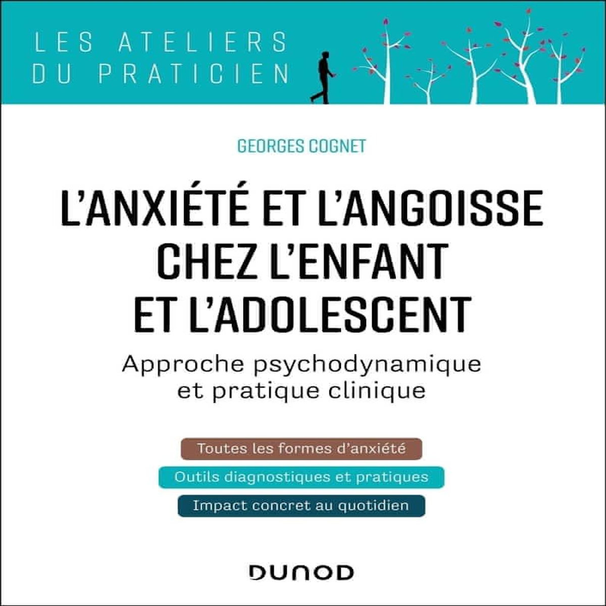 L'ANXIETE ET L'ANGOISSE CHEZ L'ENFANT ET L'ADOLESCENT. APPROCHE PSYCHODYNAMIQUE ET PRATIQUE CLINIQUE, Cognet Georges