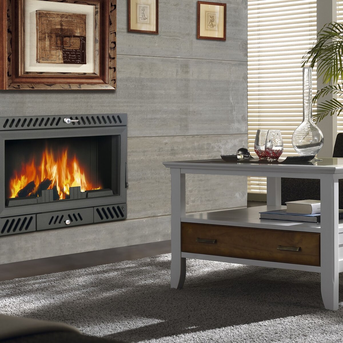 Insert avec foyer en fonte FERLUX OMIX