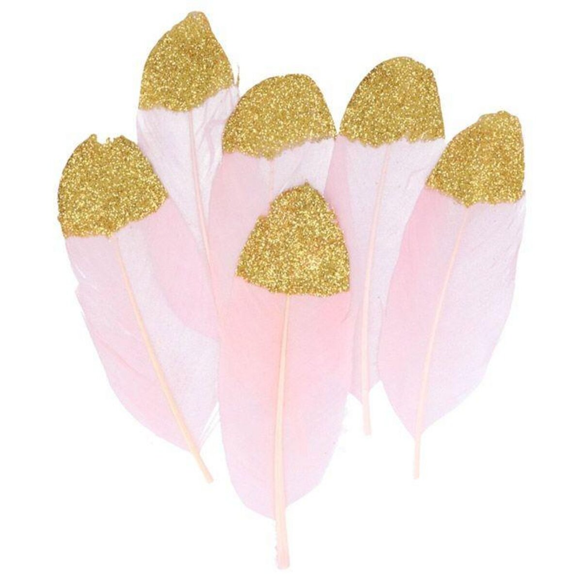 Artemio 6 plumes rose pâle à paillettes dorées