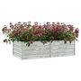 Voir la diapositive 3 : VIDAXL Lit sureleve de jardin 160x80x45 cm Acier galvanise Argente