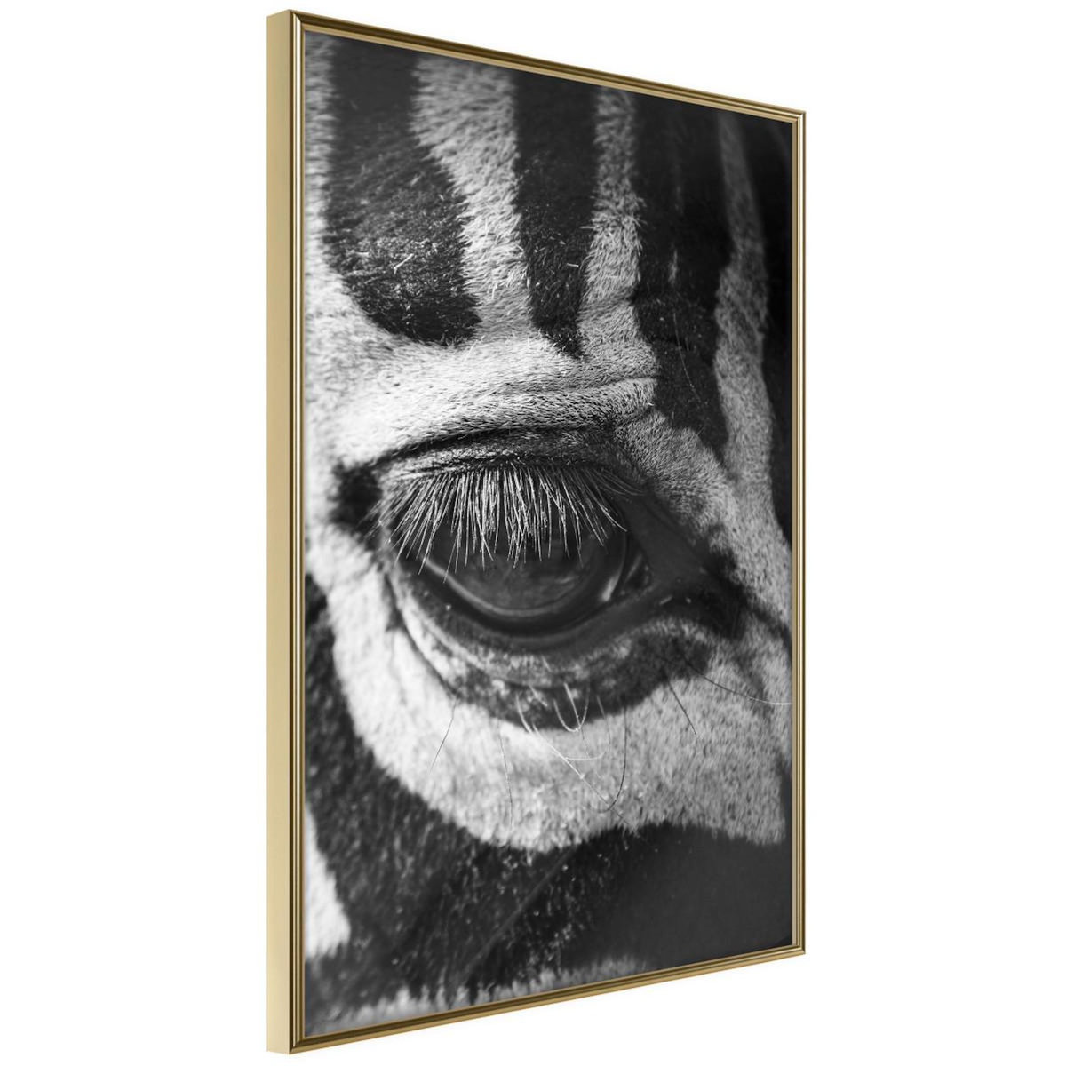 Paris Prix Affiche Murale Encadrée  Zebra Is Watching You