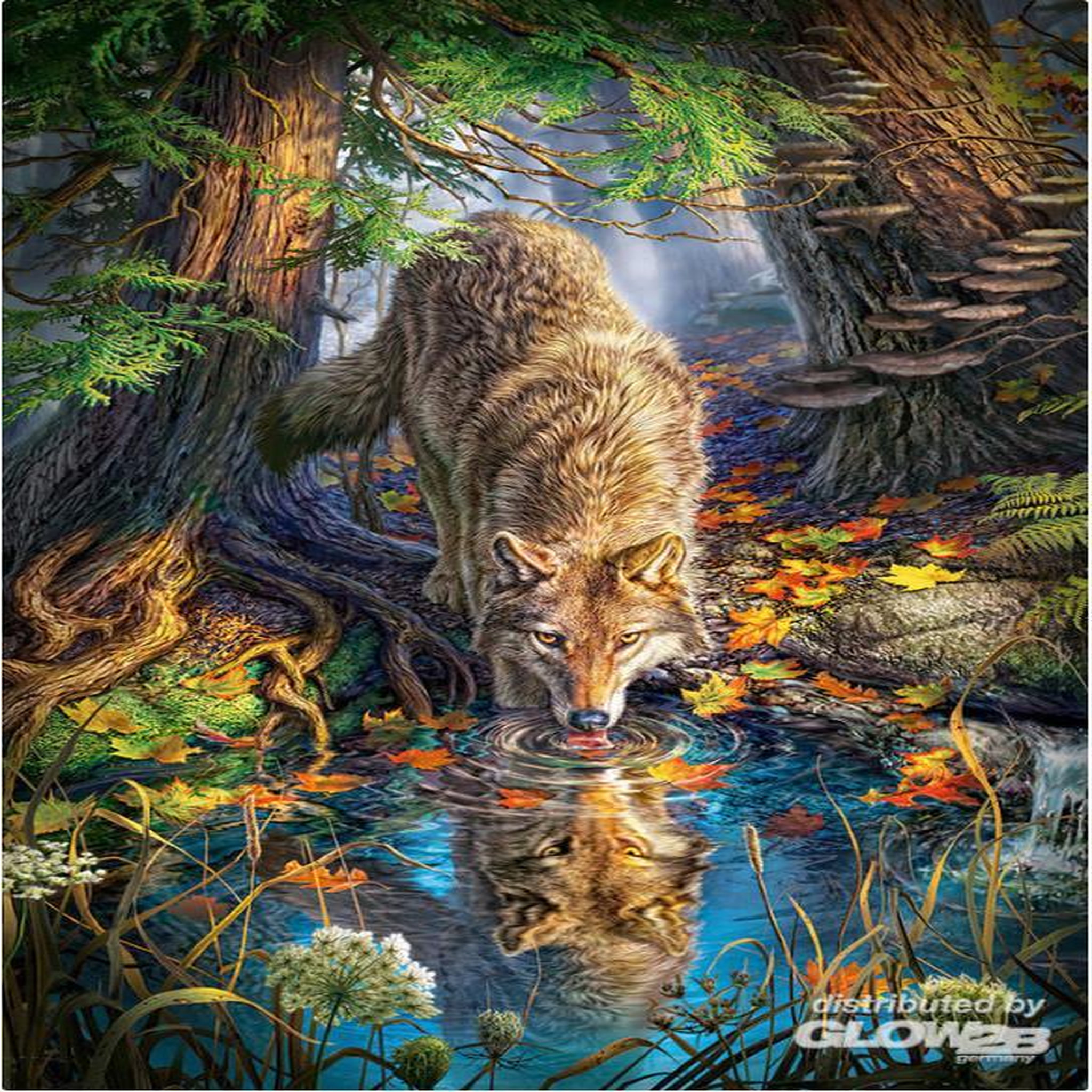 Voir la diapositive 4 : Castorland Puzzle 1500 pièces : Loup dans la nature