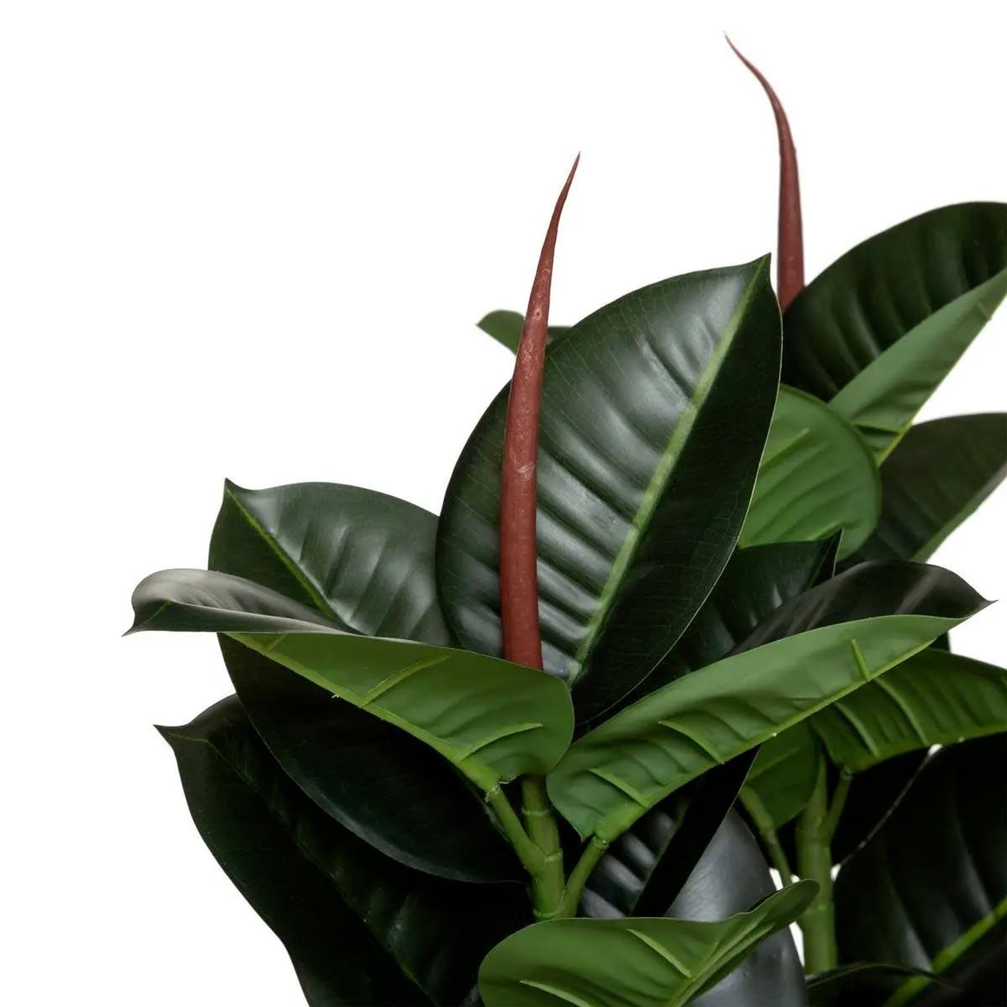 Voir la diapositive 2 : ATMOSPHERA Plante artificielle  ficus robusta  120cm vert