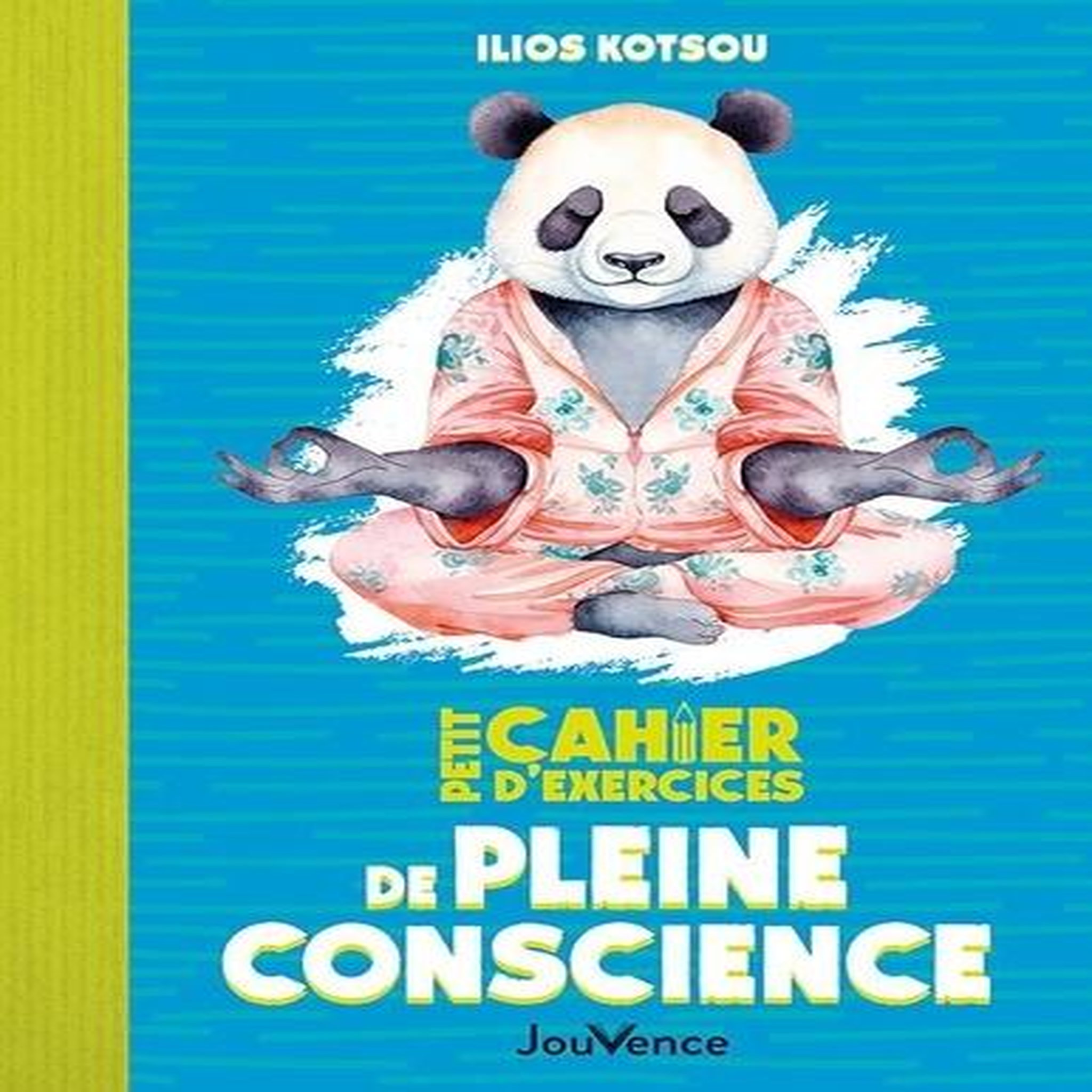 PETIT CAHIER D'EXERCICES DE PLEINE CONSCIENCE, Kotsou Ilios