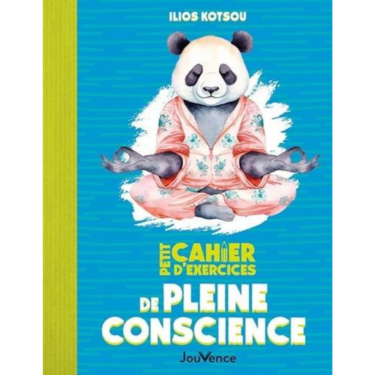 PETIT CAHIER D'EXERCICES DE PLEINE CONSCIENCE, Kotsou Ilios