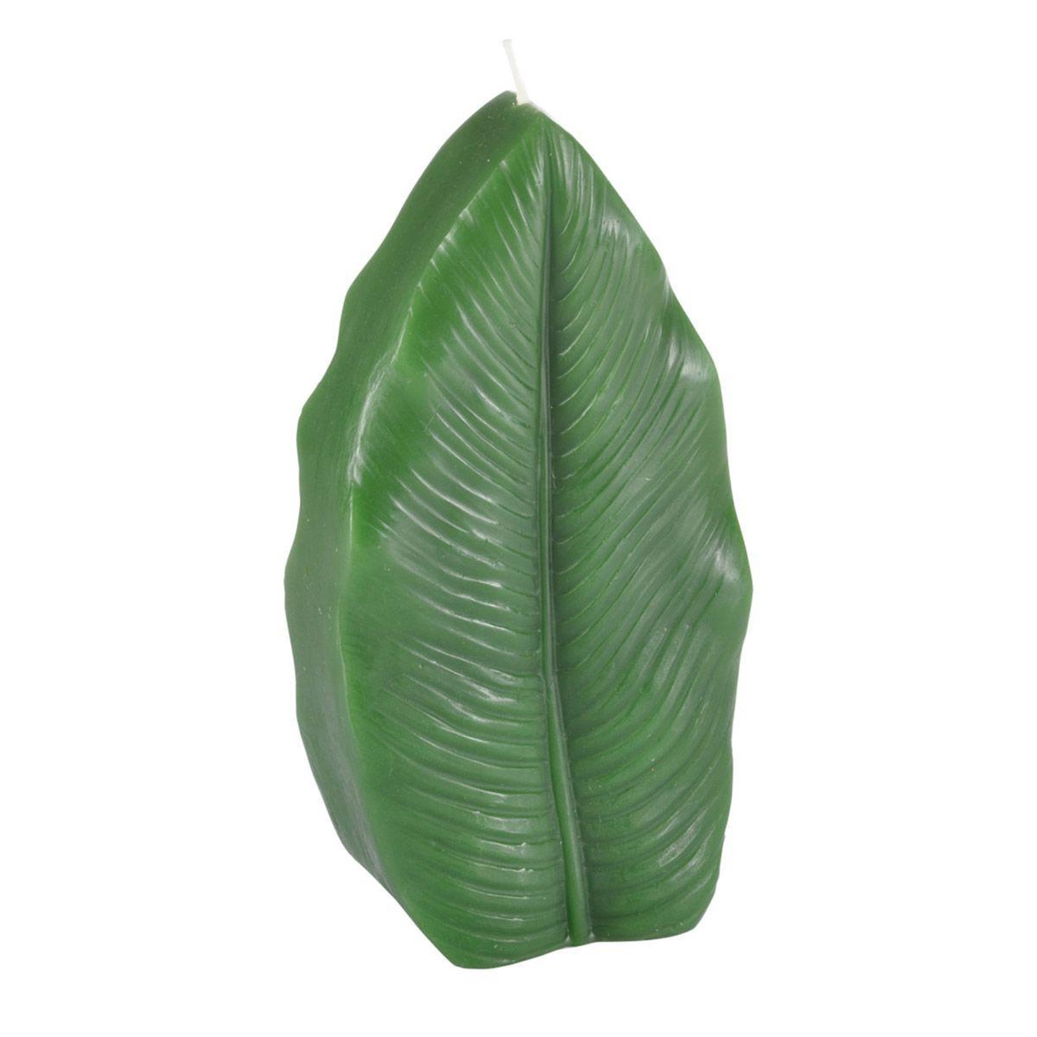 Douceur d'Intérieur Bougie feuille  jardin d'hiver  18cm vert foncé