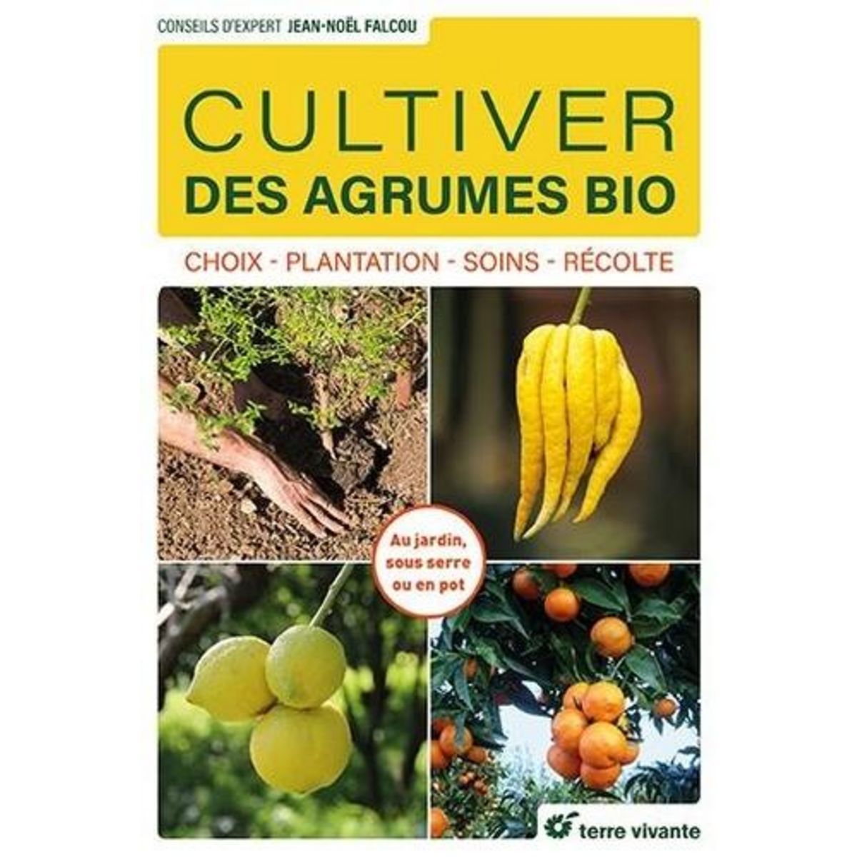 CULTIVER DES AGRUMES BIO. CHOIX, PLANTATION, SOINS, RECOLTE, Falcou Jean-Noël