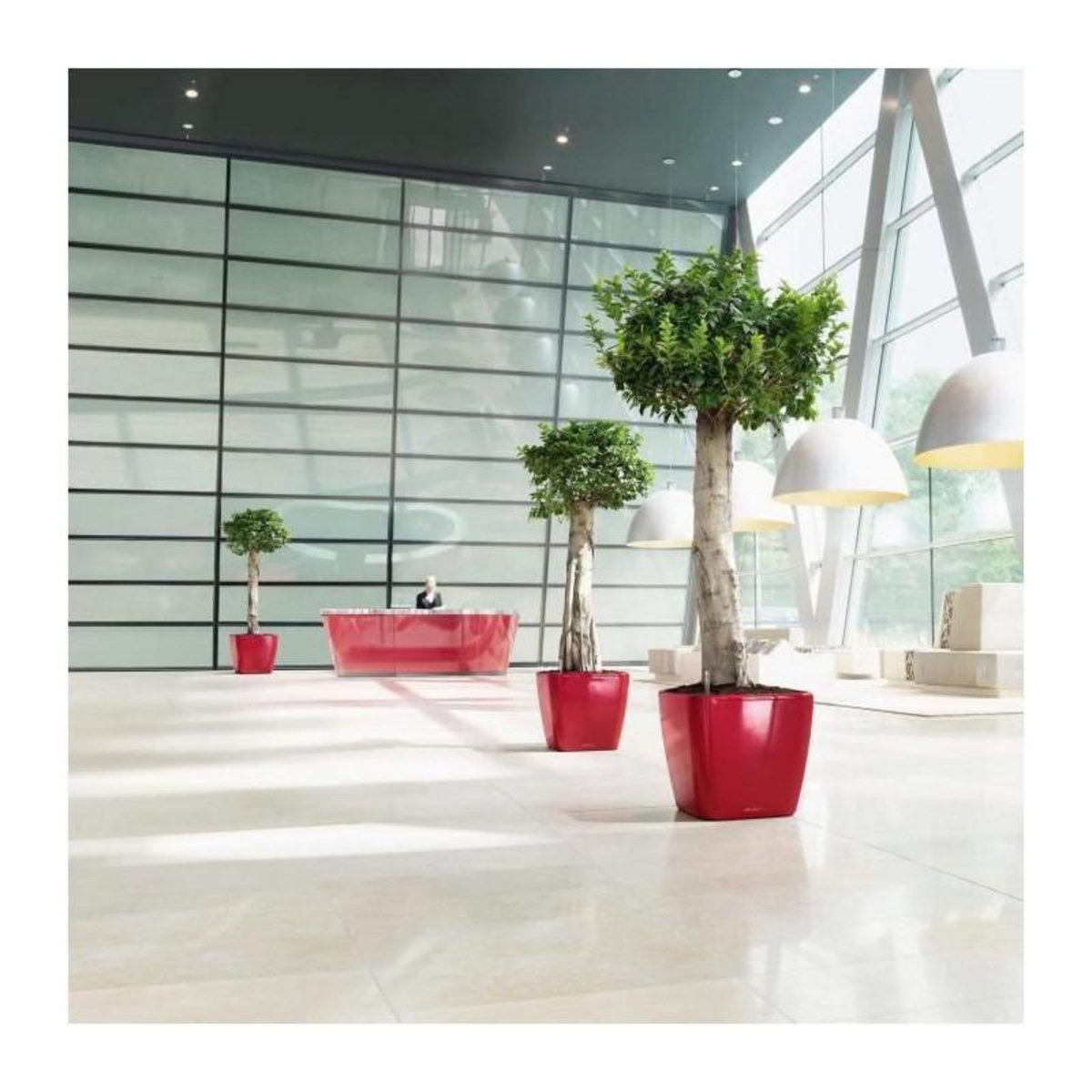 LECHUZA Pot Quadro Premium LS 50 - kit complet, rouge scarlet brillant 50 cm