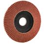 Voir la diapositive 2 : Leman Disque à lamelle Ø 125 mm