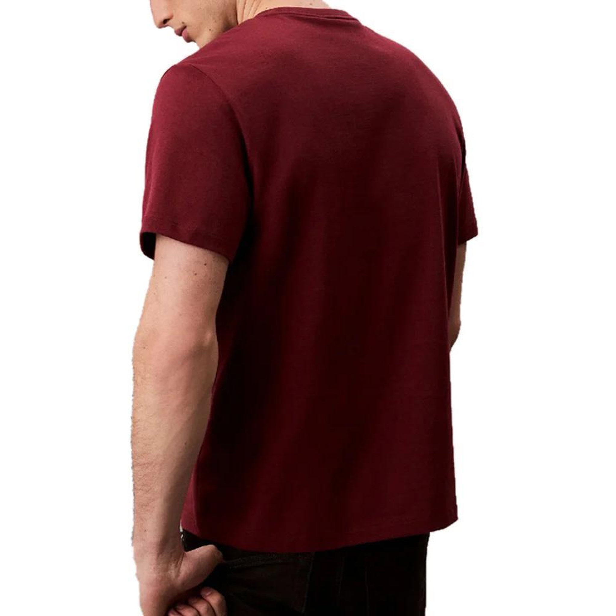 Voir la diapositive 2 : CALVIN KLEIN JEANS T-Shirt Prune Homme Calvin Klein Jeans Easy LV04RC275G
