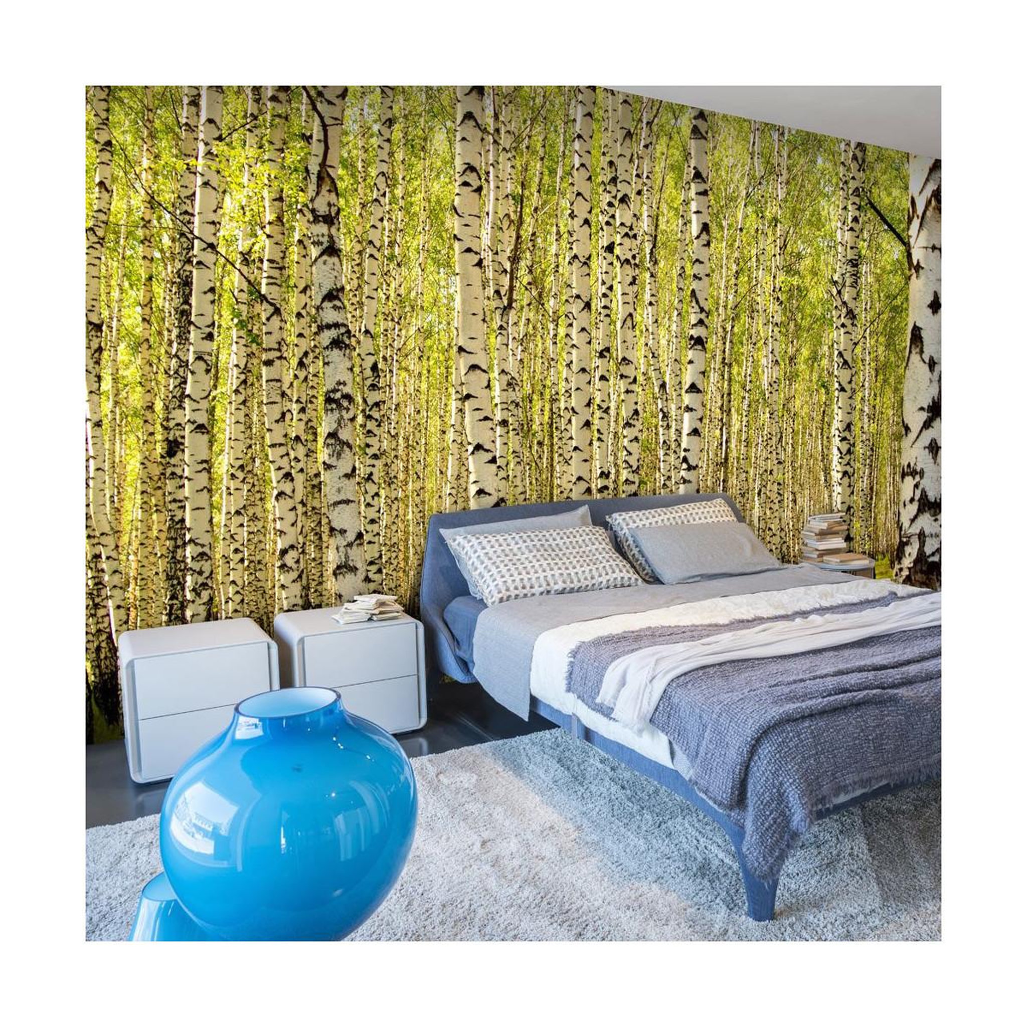 Paris Prix Papier peint  forêt de bouleaux ii  450x270cm