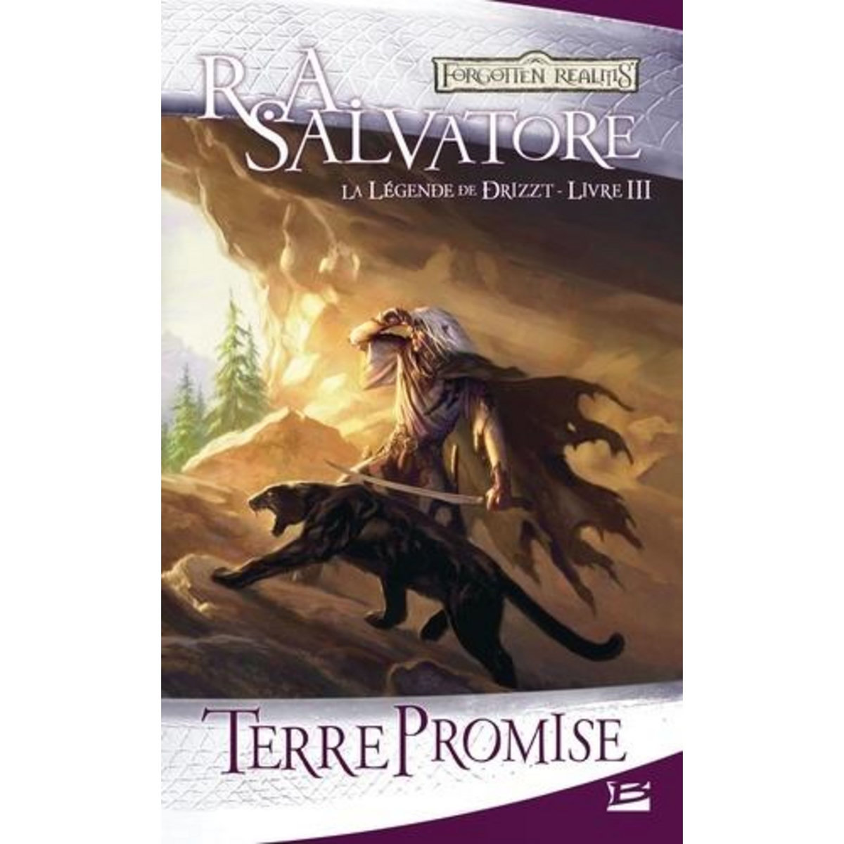 LA LEGENDE DE DRIZZT TOME 3 : TERRE PROMISE, Salvatore R. A.