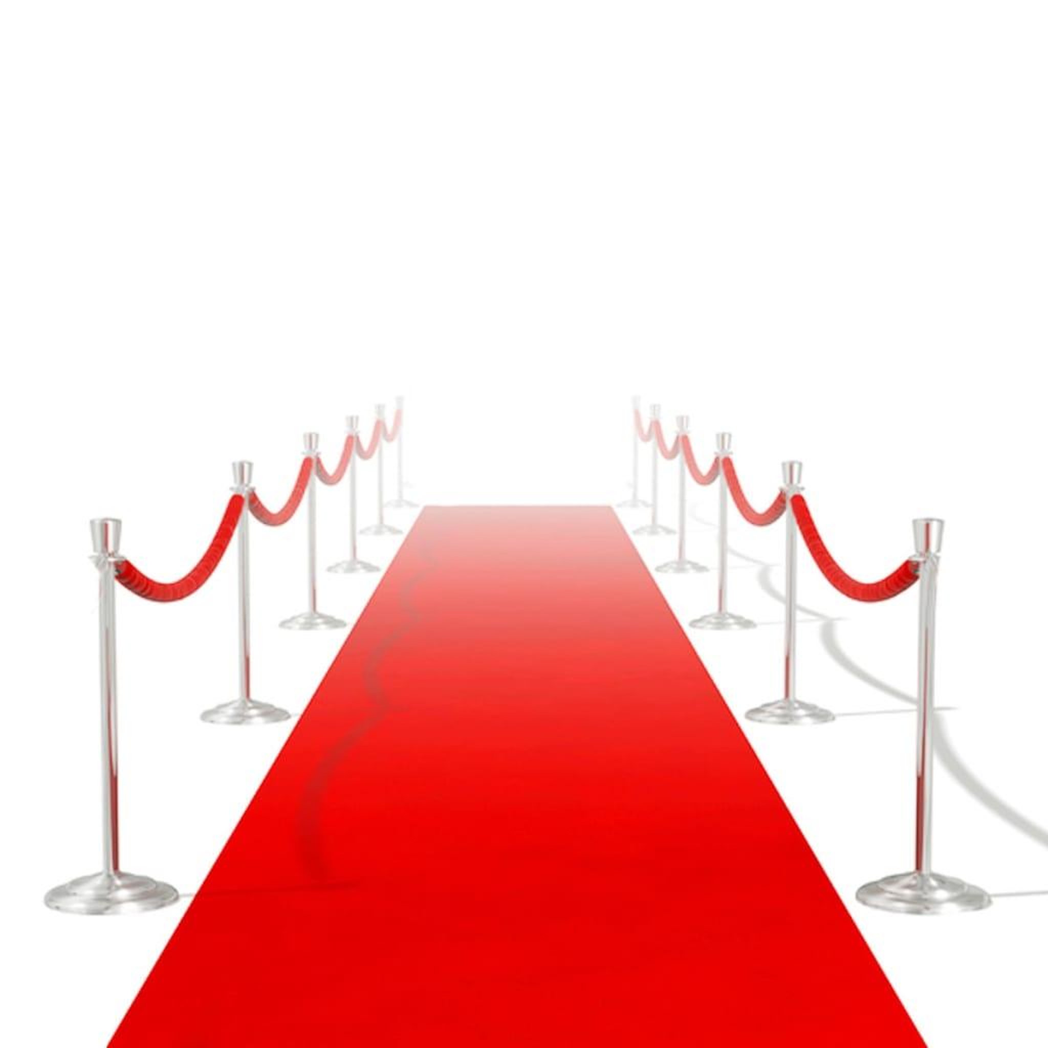 Voir la diapositive 1 : VIDAXL Tapis rouge 1 x 20 m Extra lourd 400 g/m^2