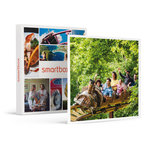 Smartbox Billets pour le Parc Astérix : 2 entrées adulte et 2 entrées enfant en 2026 - Coffret Cadeau Multi-thèmes