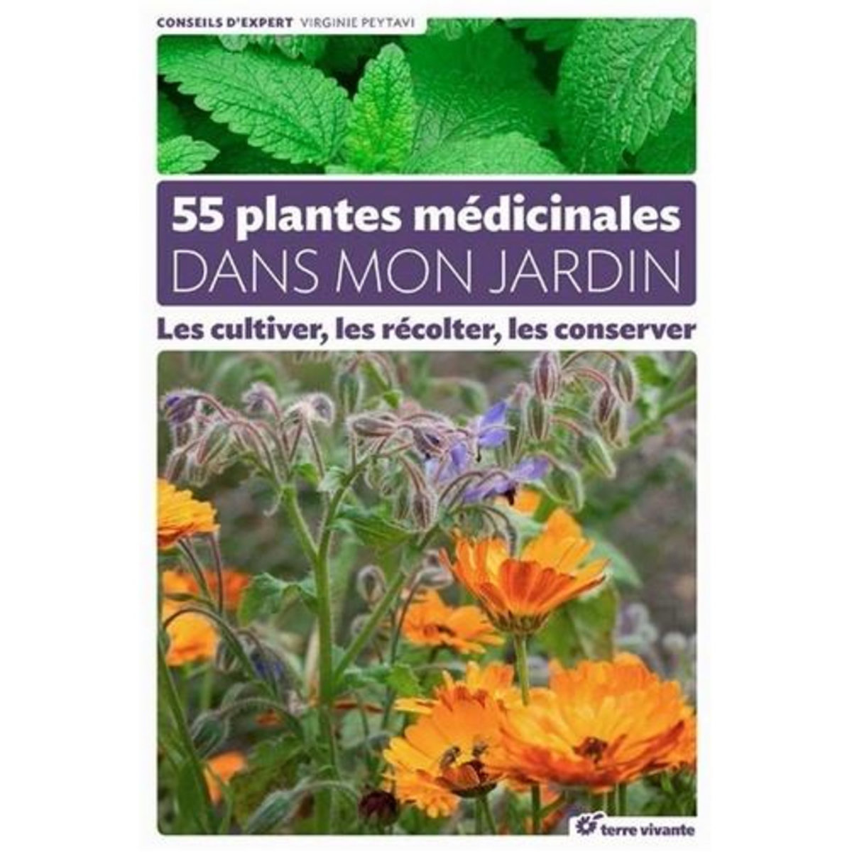 55 PLANTES MEDICINALES DANS MON JARDIN. LES CULTIVER, LES RECOLTER, LES CONSERVER, Peytavi Virginie