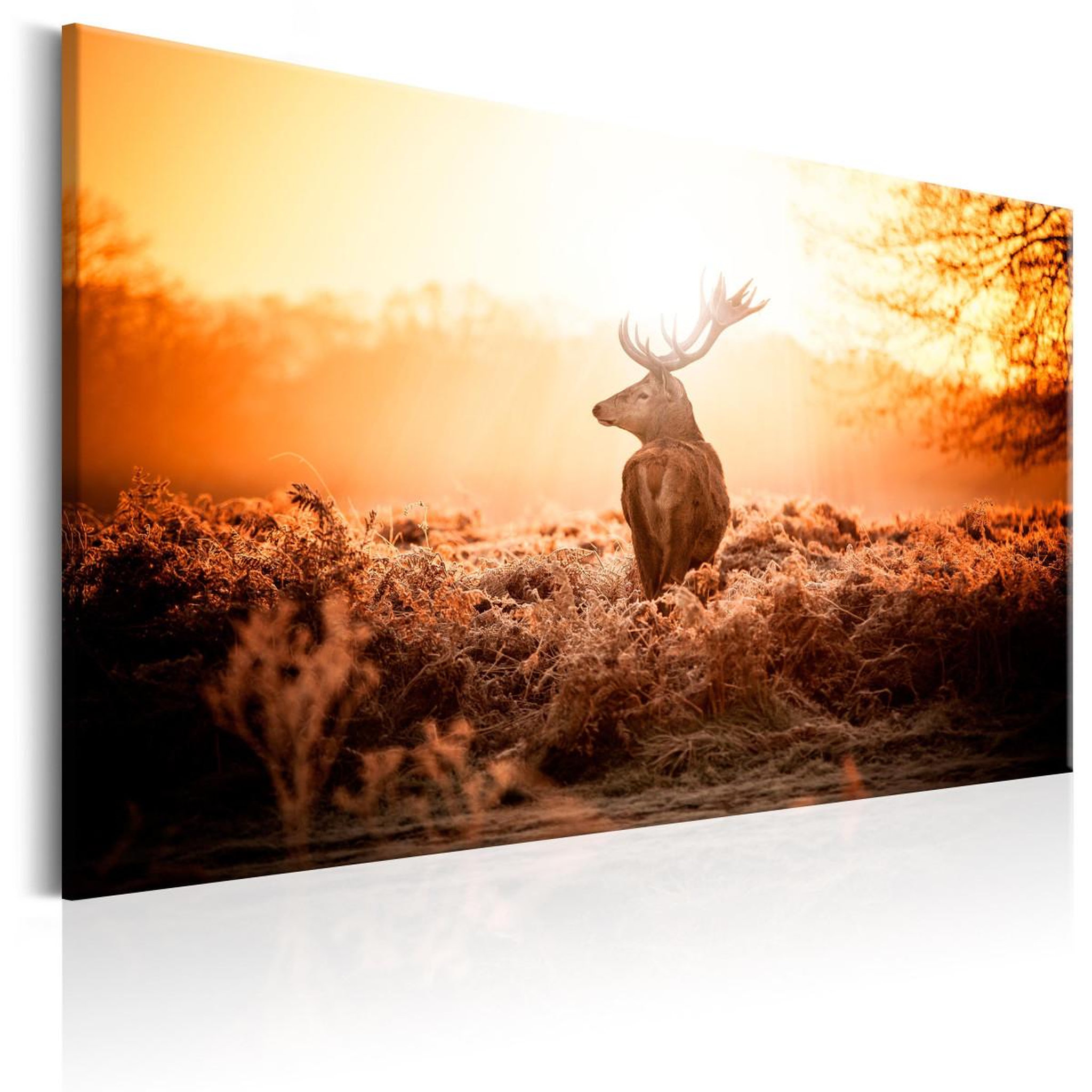 Voir la diapositive 1 : Paris Prix Tableau imprimé  deer in the sun