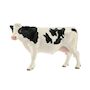 Voir la diapositive 2 : Schleich Jouet éducatif Schleich Kit de base Farm World