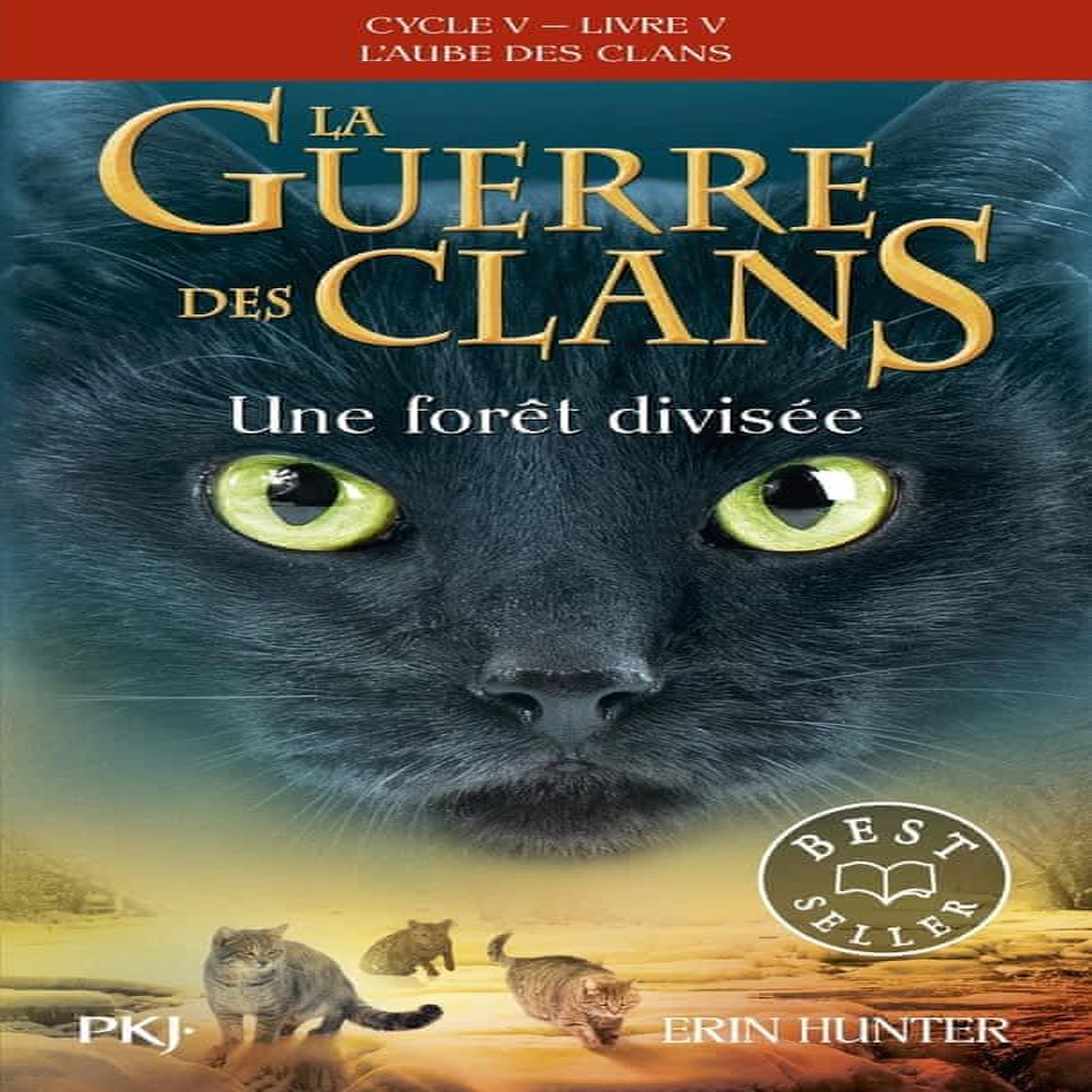 LA GUERRE DES CLANS : L'AUBE DES CLANS (CYCLE V) TOME 5 : UNE FORET DIVISEE, Hunter Erin