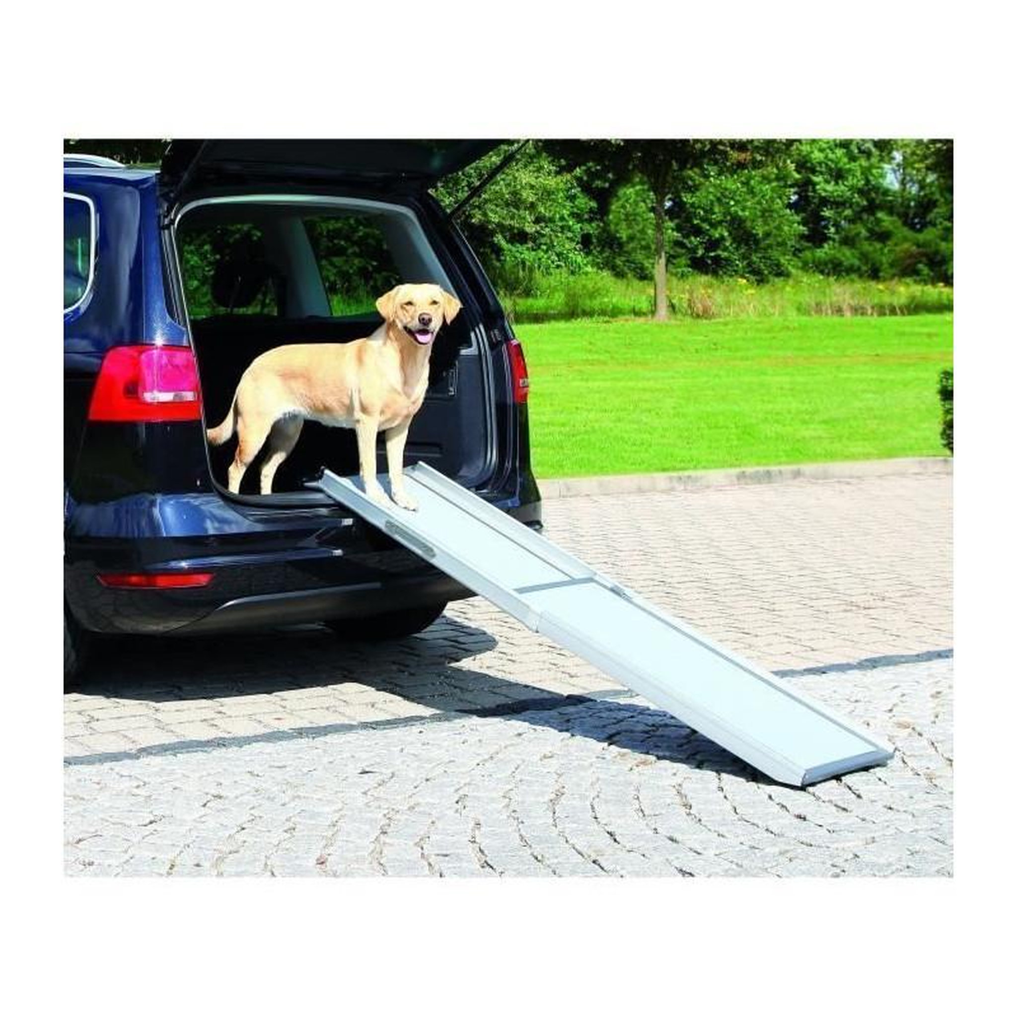 Trixie TRIXIE Rampe telescopique pour chien 43x100-180 cm