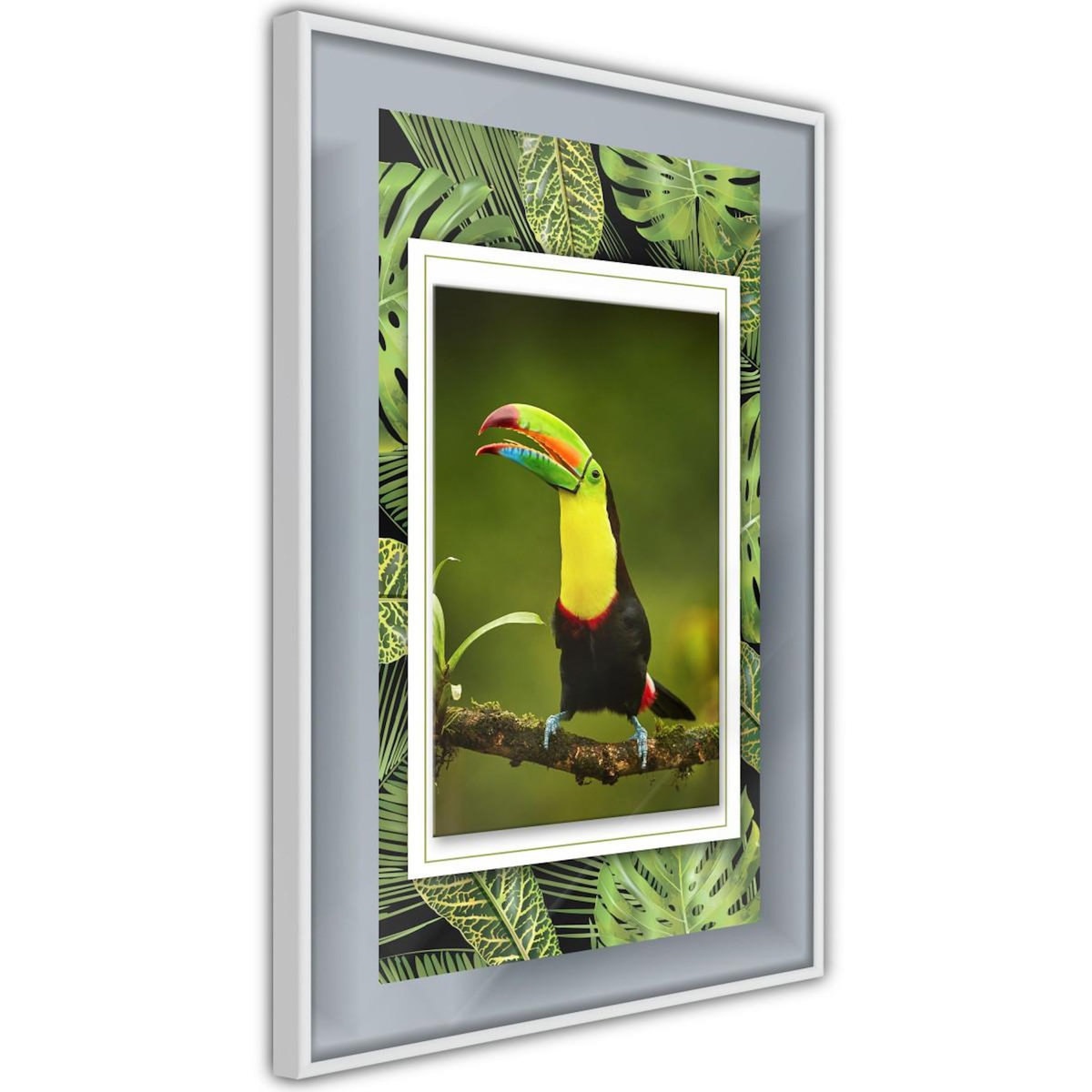 Paris Prix Affiche Murale Encadrée  Toucan in the Frame