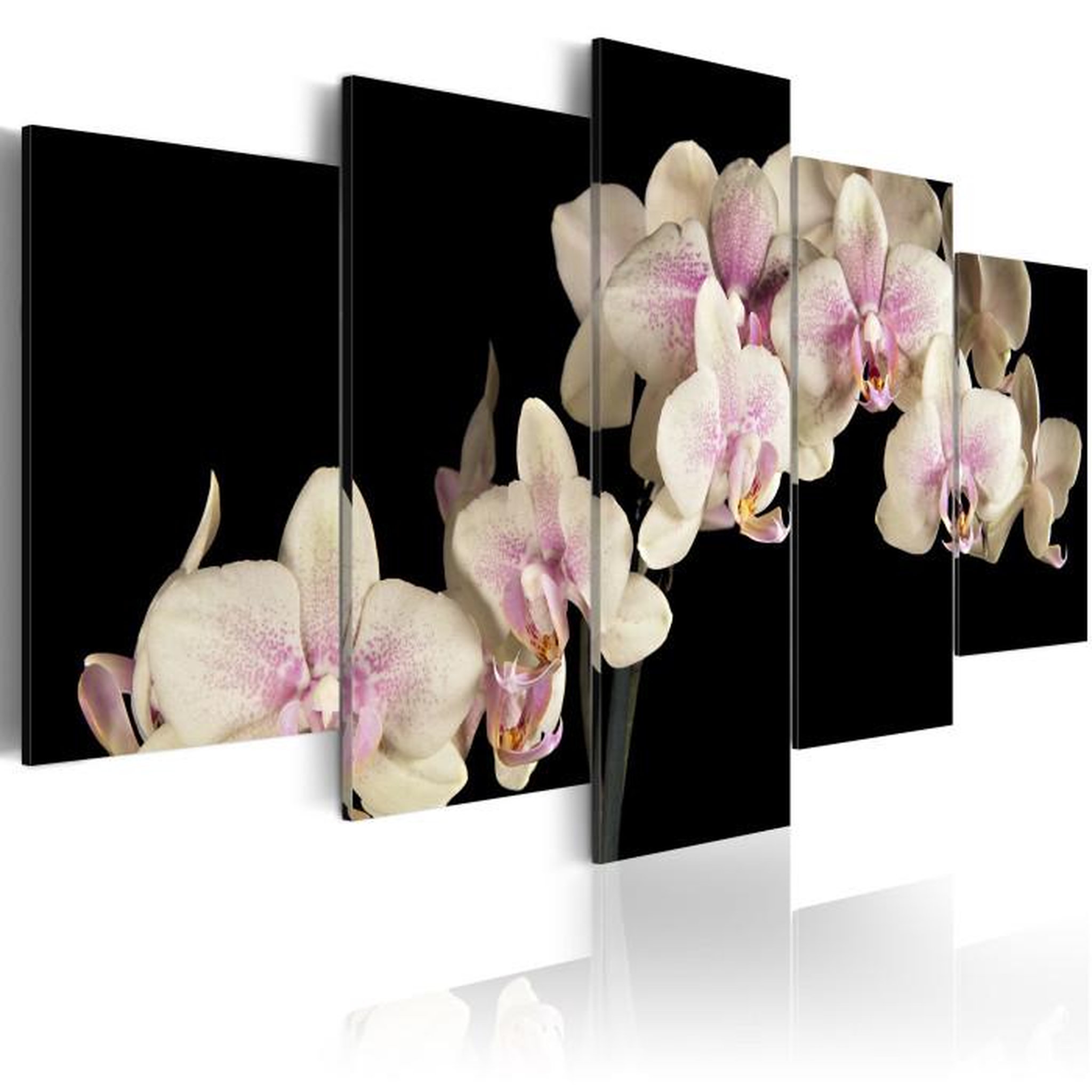Paris Prix Tableau Imprimé  Orchidée sur Fond Contrasté. Coloris disponibles : Multicolore