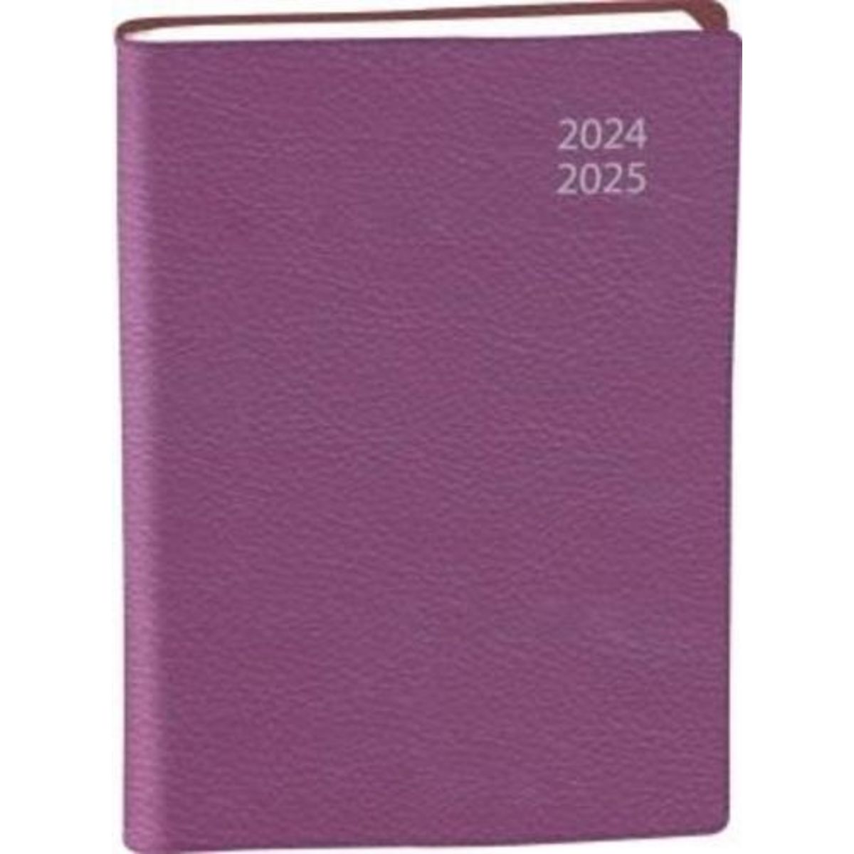 AGENDA PRIONS EN EGLISE. EDITION 2024-2025, Bayard Presse