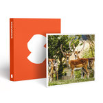 Smartbox Tanière Zoo Refuge : immersion avec les herbivores pour 1 personne - Coffret Cadeau Multi-thèmes