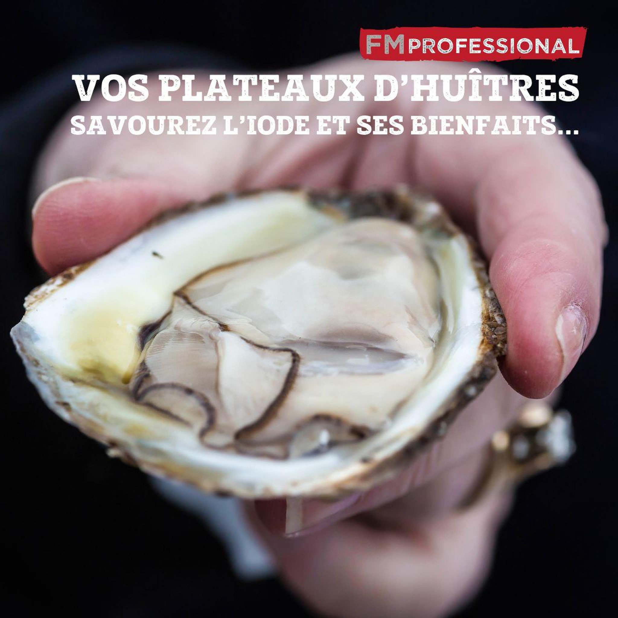 Voir la diapositive 4 : FM PROFESSIONAL Couteau à huître 2 en 1 18 cm FM Professional Divers