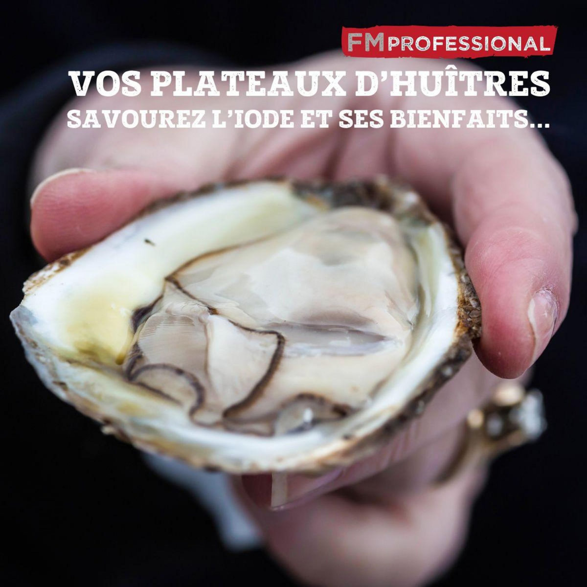 FM PROFESSIONAL Couteau à huître 2 en 1 18 cm FM Professional Divers