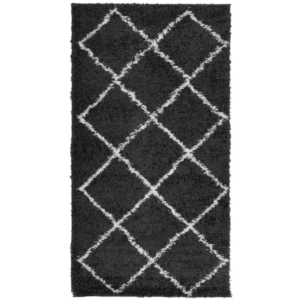 VIDAXL Tapis shaggy a poils longs moderne noir et creme 60x110 cm