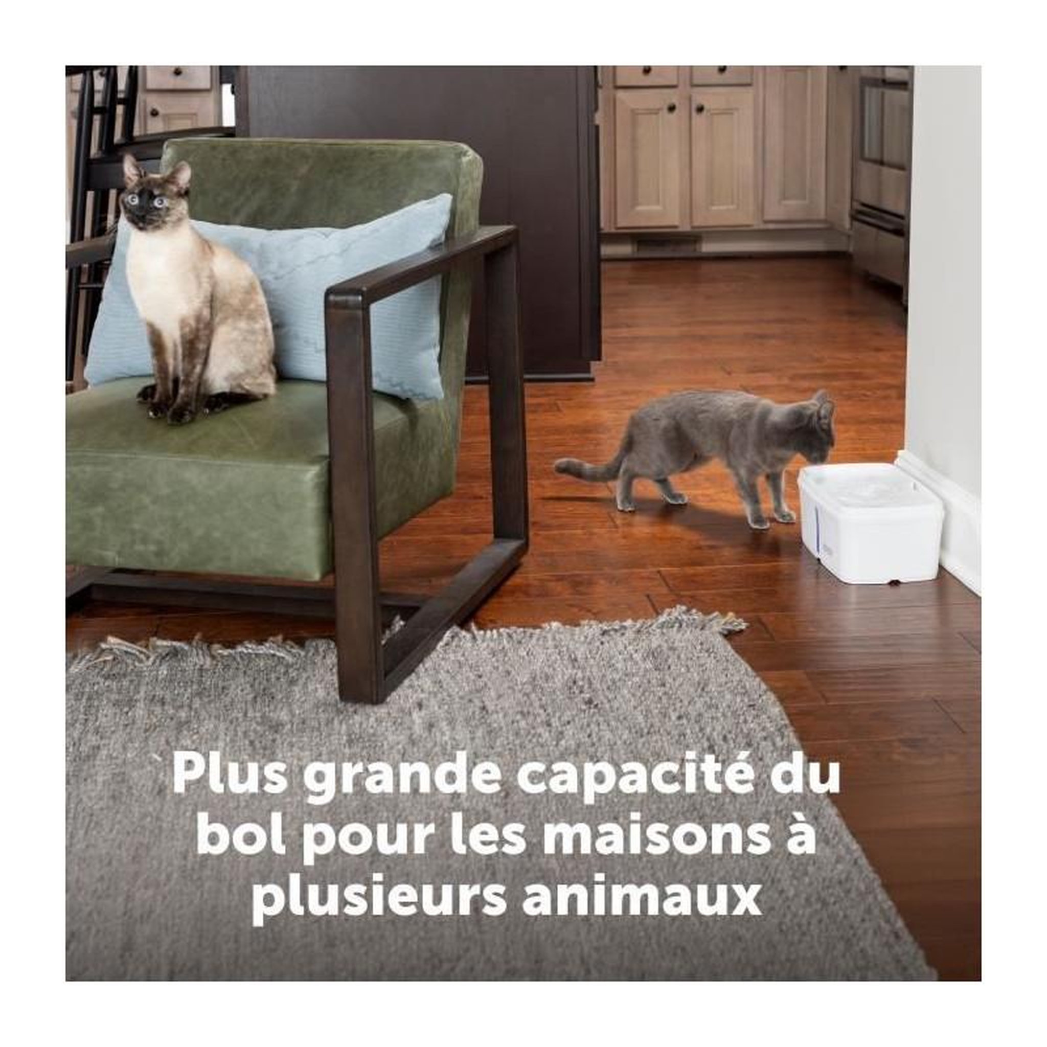 Voir la diapositive 4 : PETSAFE Fontaine a eau - PETSAFE - VIVA - 4,1 L - Blanc